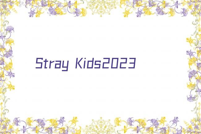 Stray Kids2023剧照